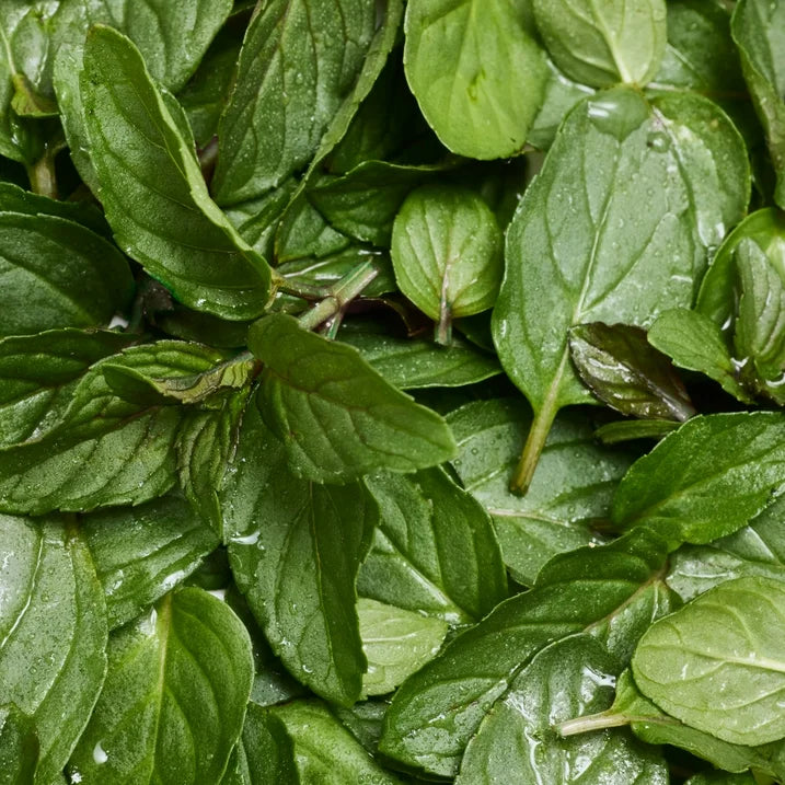 Jabon Dr. Bronner's Magic -CastilPuree, Aceite de Coco Orgánico, Menta, 140g