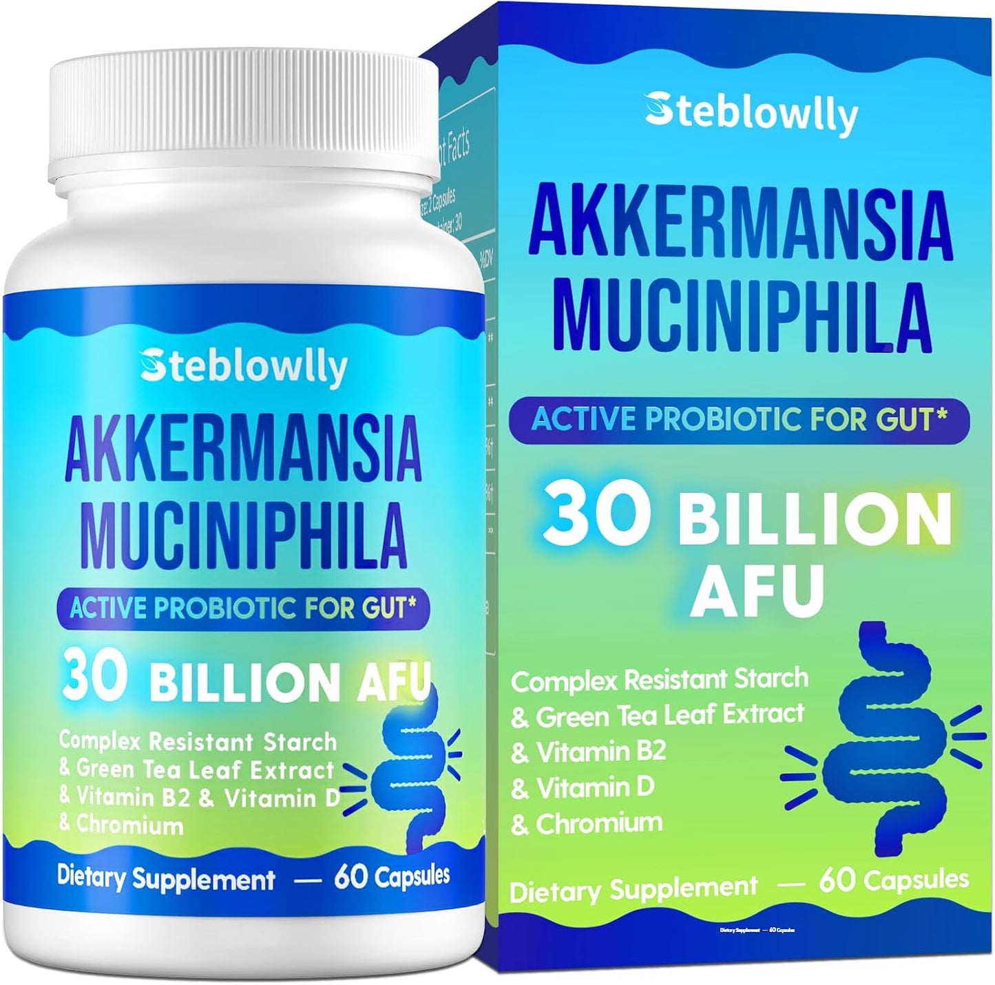 Steblowlly - Akkermansia Muciniphila probiótico activo para el intestino 30 Billion AFU, 60 capsulas