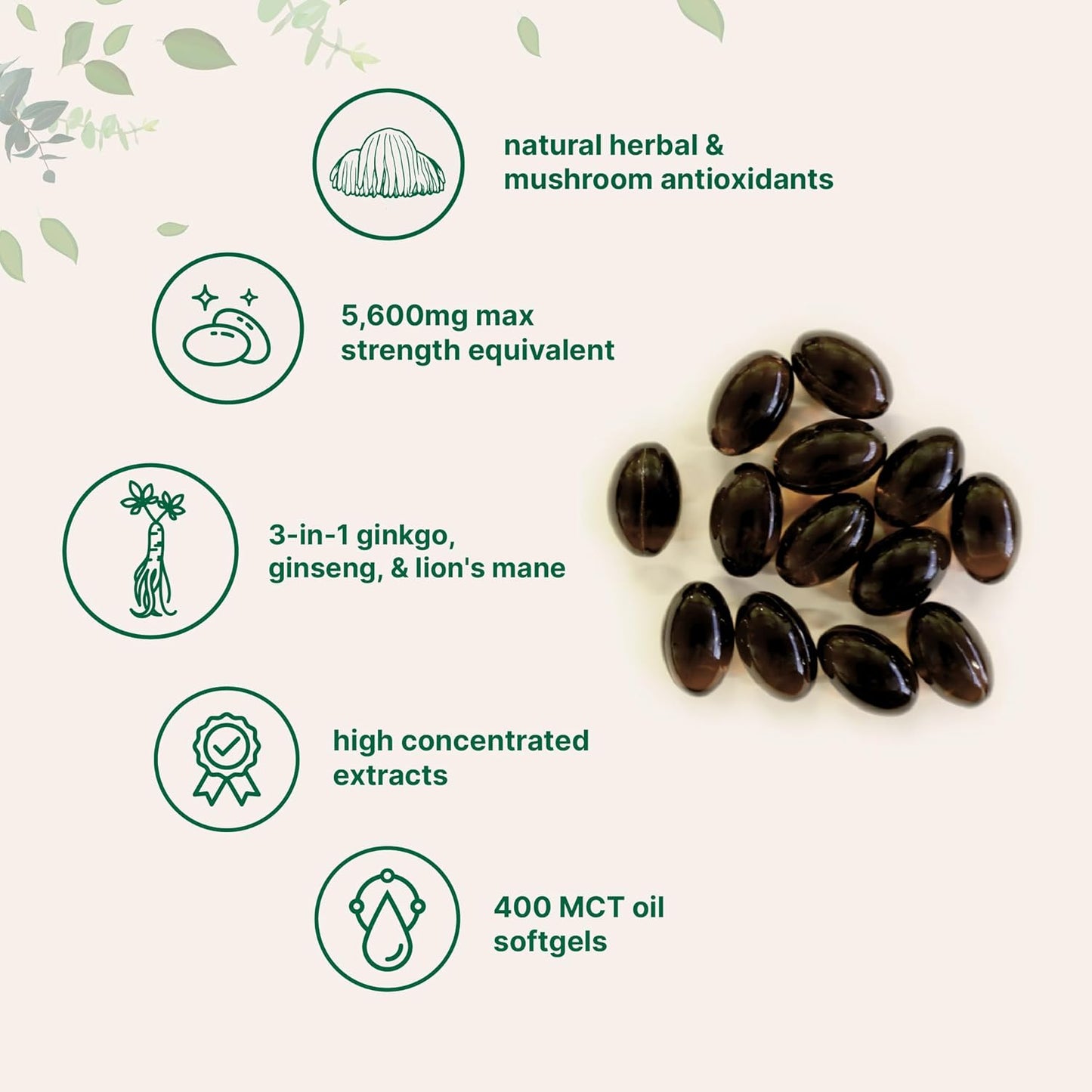 MicroIngredients - Ginkgo Biloba, panax ginseng lions mane con MCT OIl, 400 capsulas