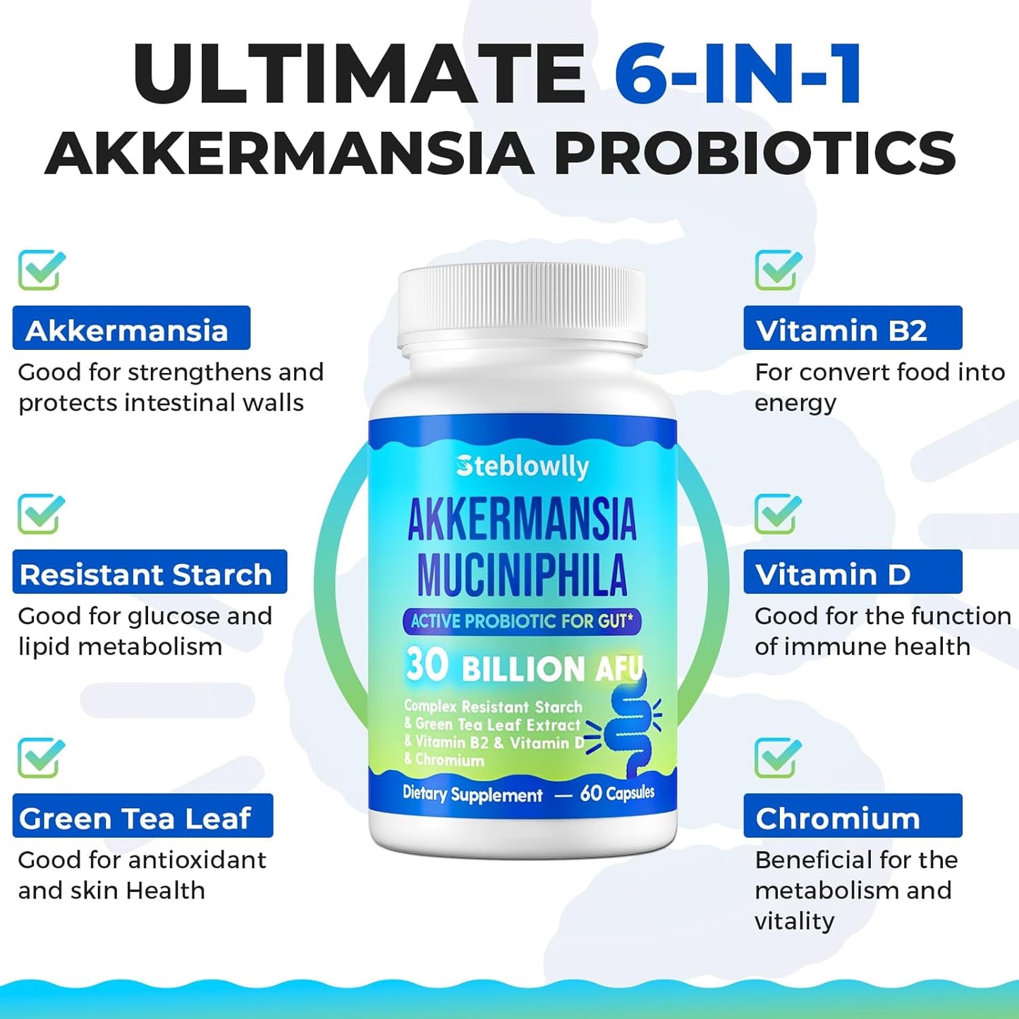 Steblowlly - Akkermansia Muciniphila probiótico activo para el intestino 30 Billion AFU, 60 capsulas