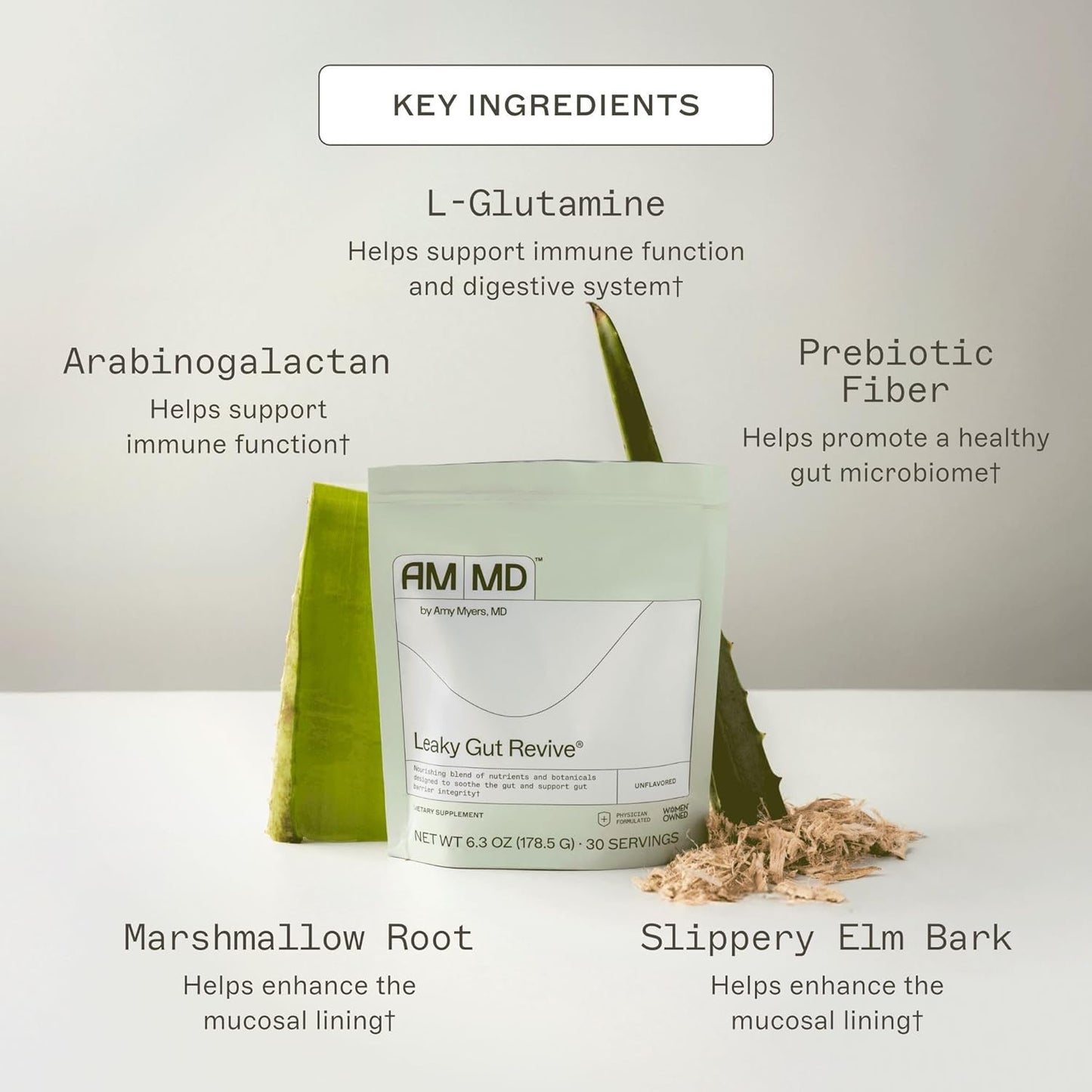 Amy Myers MD Leaky Gut Revive - 201g