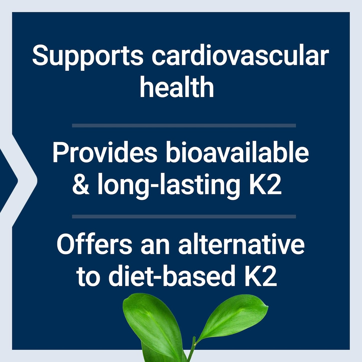 Life Extension - Low Dose Vitamina K2(MK-7) 45mcg, 90 capsulas