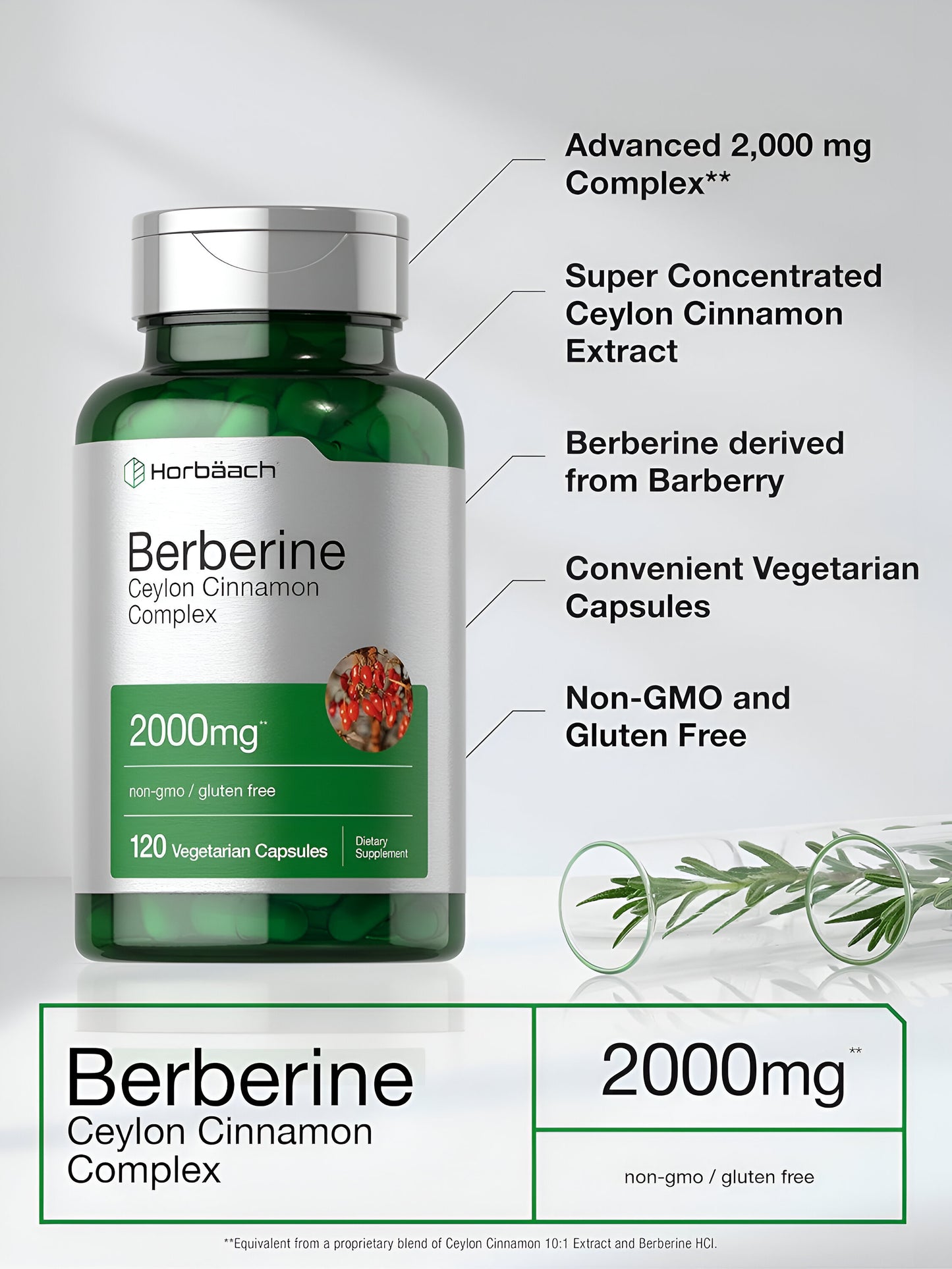 Horbaach - Berberine Plus Ceylon Cinnamon | 2000mg | 120 Veggie Capsules