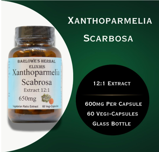 Barlowe's Herbal Elixirs Xantoparmelia Scabrosa | Extracto 12:1 | 650 mg , 60 capsulas vegetables