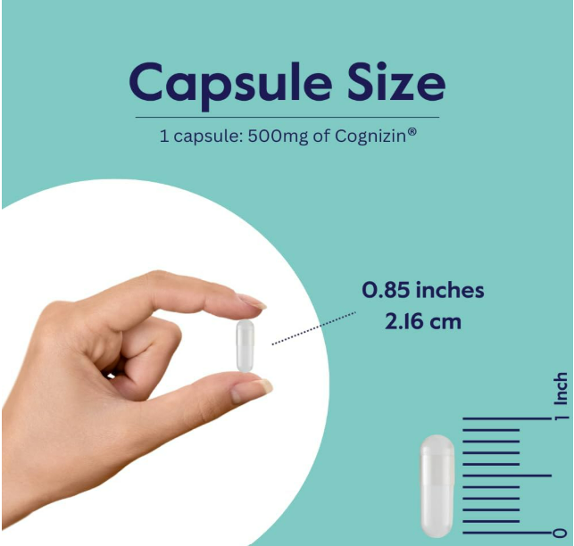 Bestvite - Cofnizin 500mg, 240 capsulas