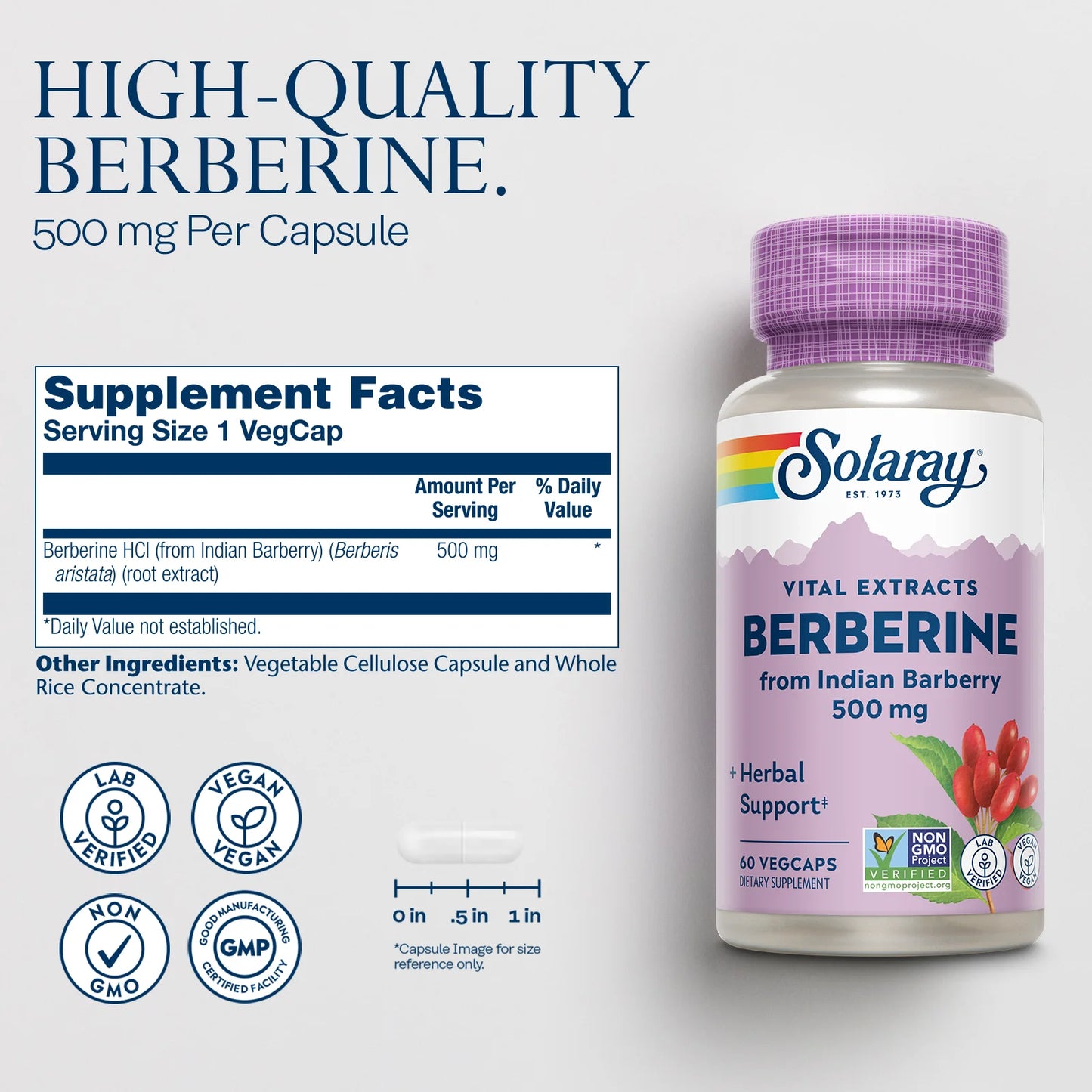 SOLARAY Berberina 500 mg - Con clorhidrato de berberina de agracejo indio - Vegano, sin OMG, 60 capsulas