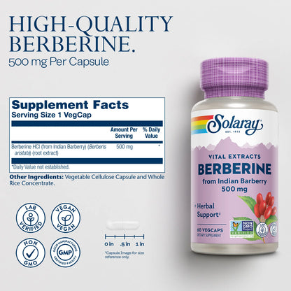 SOLARAY Berberina 500 mg - Con clorhidrato de berberina de agracejo indio - Vegano, sin OMG, 60 capsulas