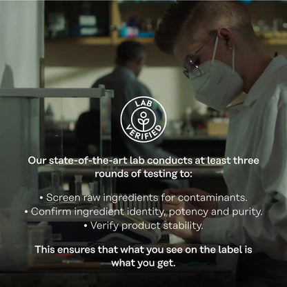 SOLARAY Berberina 500 mg - Con clorhidrato de berberina de agracejo indio - Vegano, sin OMG, 60 capsulas