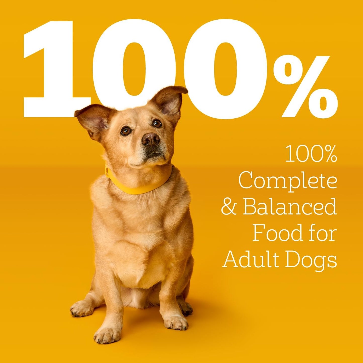 Pedigree Choice Cuts in Gravy - Alimento húmedo para perros adultos, 100g