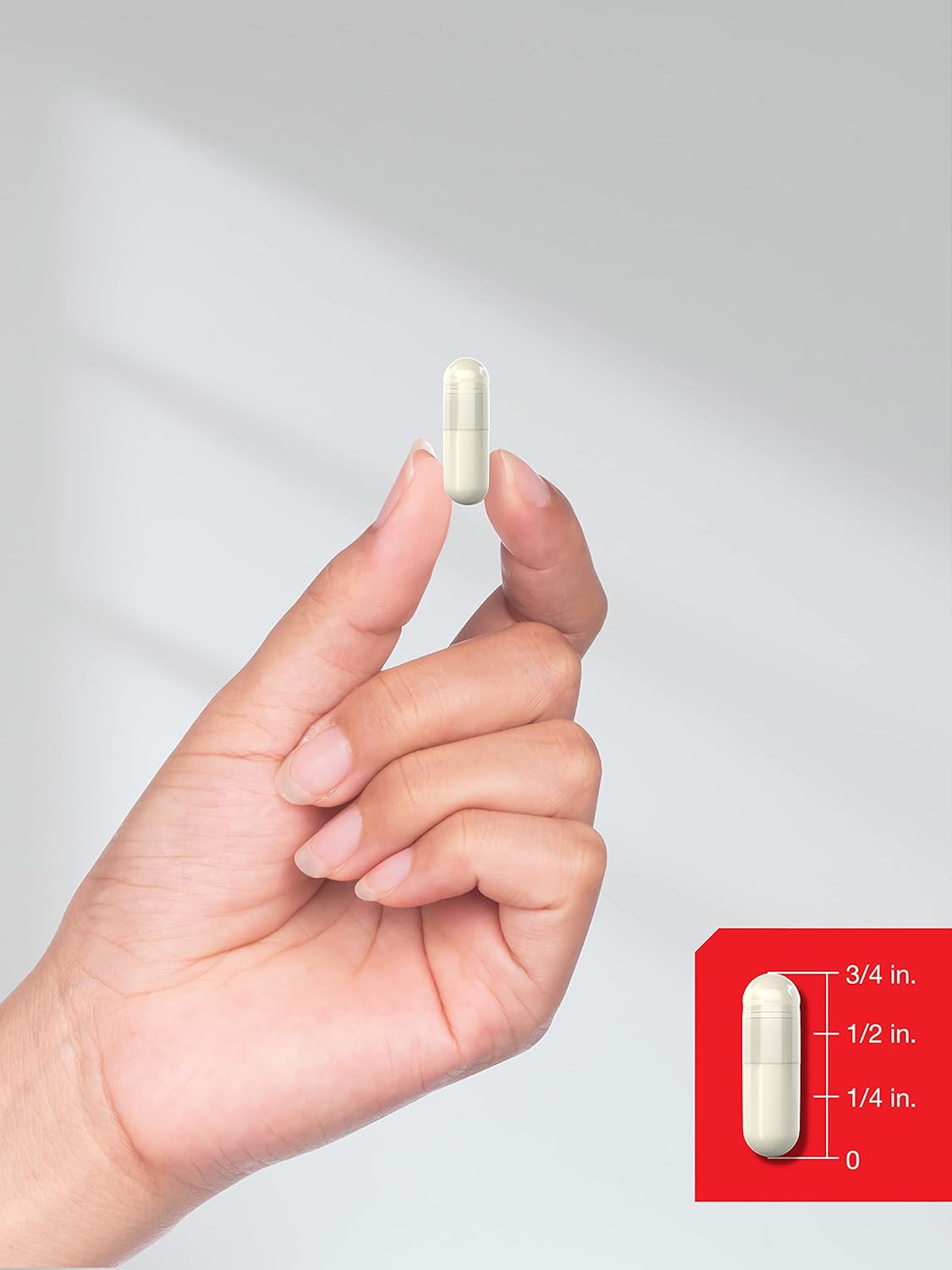 Horbaach Acetyl L-Carnitina 1500mg | 200 Cápsulas