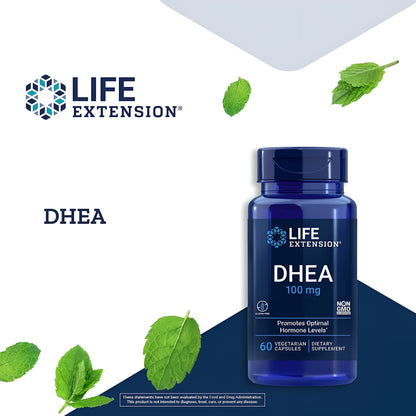 Life Extension DHEA 100 mg, 60 vegetarian capsules