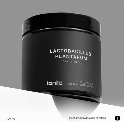 Toniiq Lactobacillus Plantarum - 100 mil millones de UFC, 60 Capsulas
