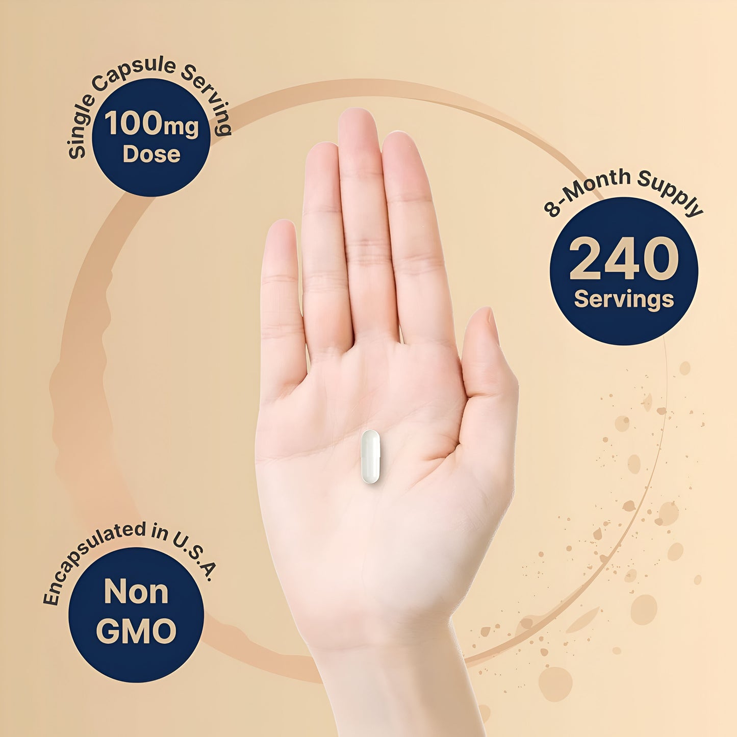 NatureBell DHEA 100mg, 240 Capsules Extrafuerte, grado micronizado para una mejor absorción