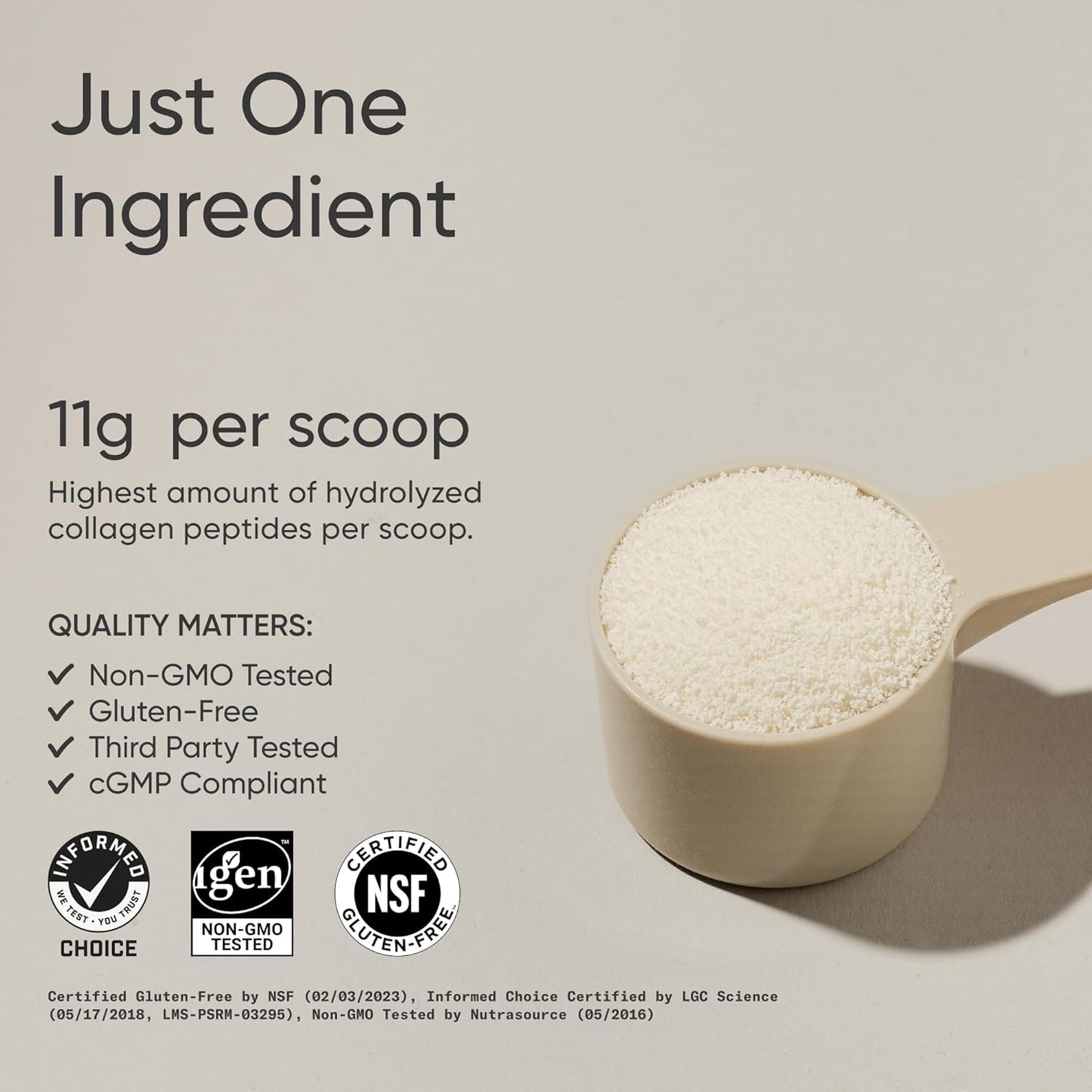 Sports Research - Colágeno  peptides hidrolizado tipo 1 y 3 en polvo, 454g