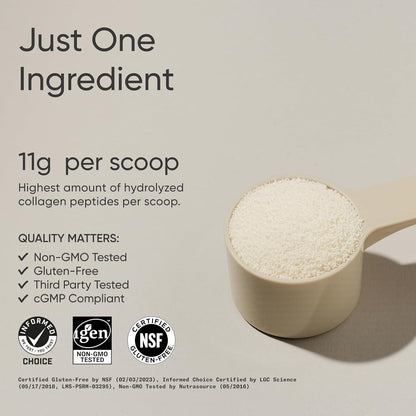 Sports Research - Colágeno  peptides hidrolizado tipo 1 y 3 en polvo, 454g
