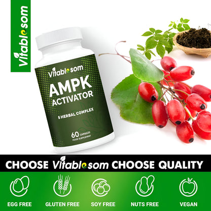 AMPK Suplemento activador, 5 en 1 Jiaogulan Gynostemma AMPK activador metabólico 60 cápsulas vegetarianas