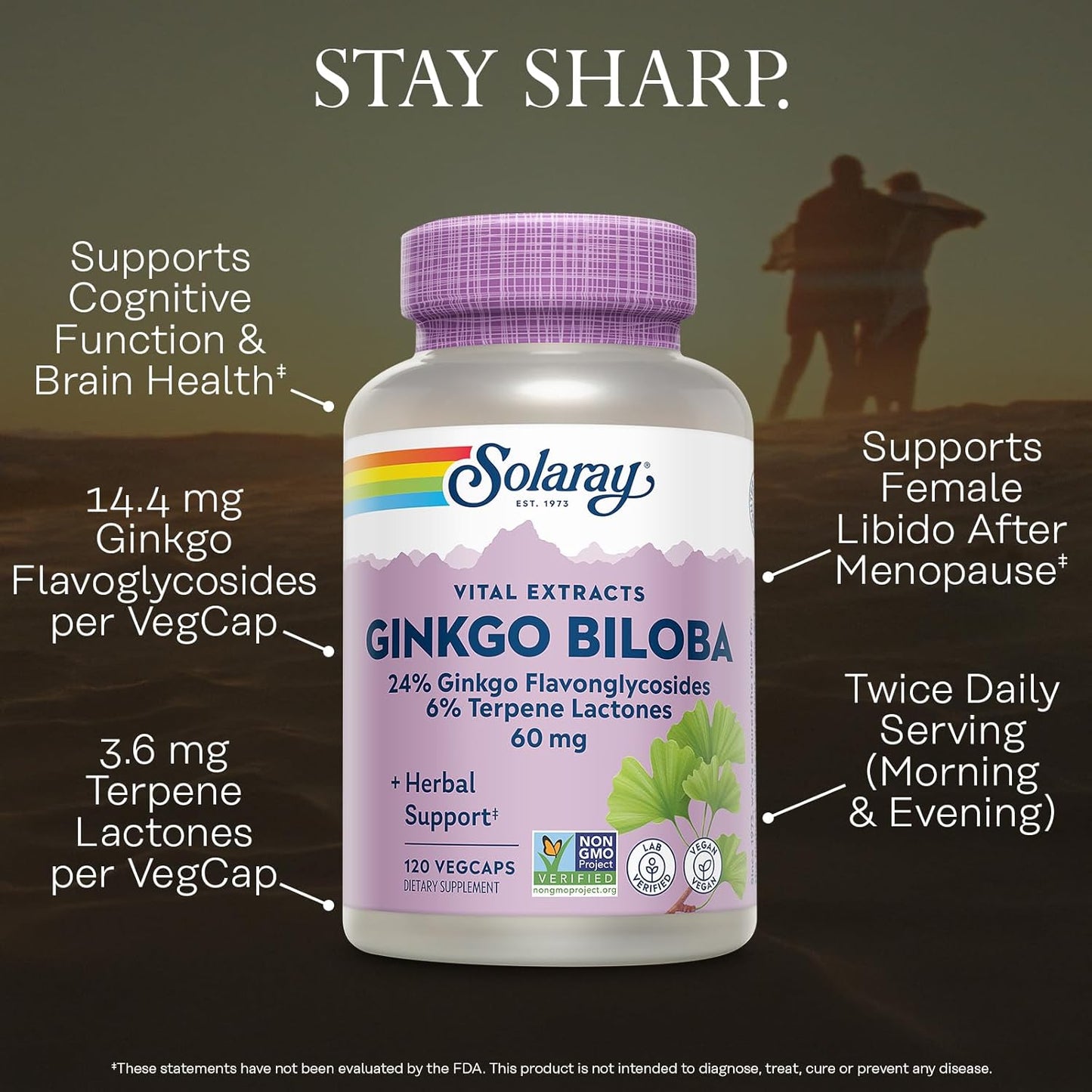 SOLARAY Extracto de hoja de ginkgo biloba de potencia garantizada, tapa vegetal (Btl-plástico) 60mg | 120ct