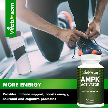 AMPK Suplemento activador, 5 en 1 Jiaogulan Gynostemma AMPK activador metabólico 60 cápsulas vegetarianas