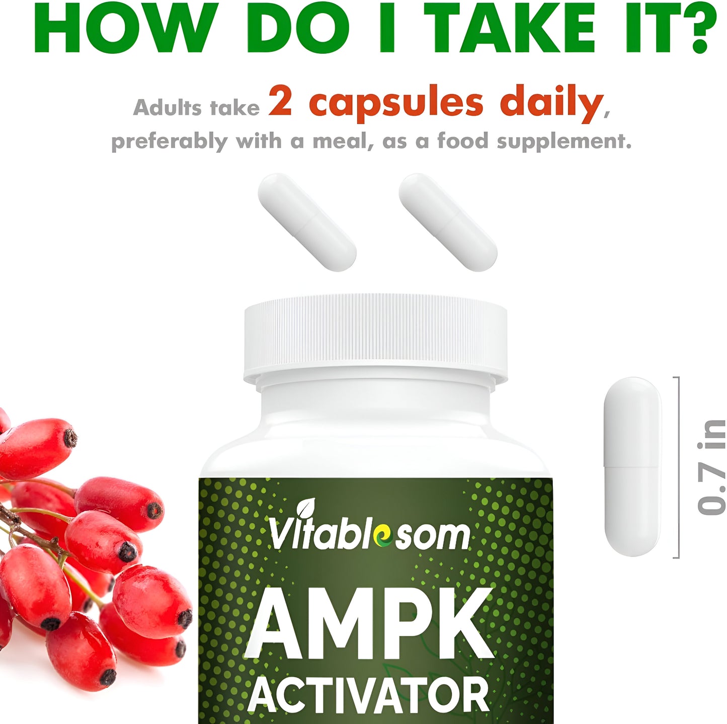 AMPK Suplemento activador, 5 en 1 Jiaogulan Gynostemma AMPK activador metabólico 60 cápsulas vegetarianas