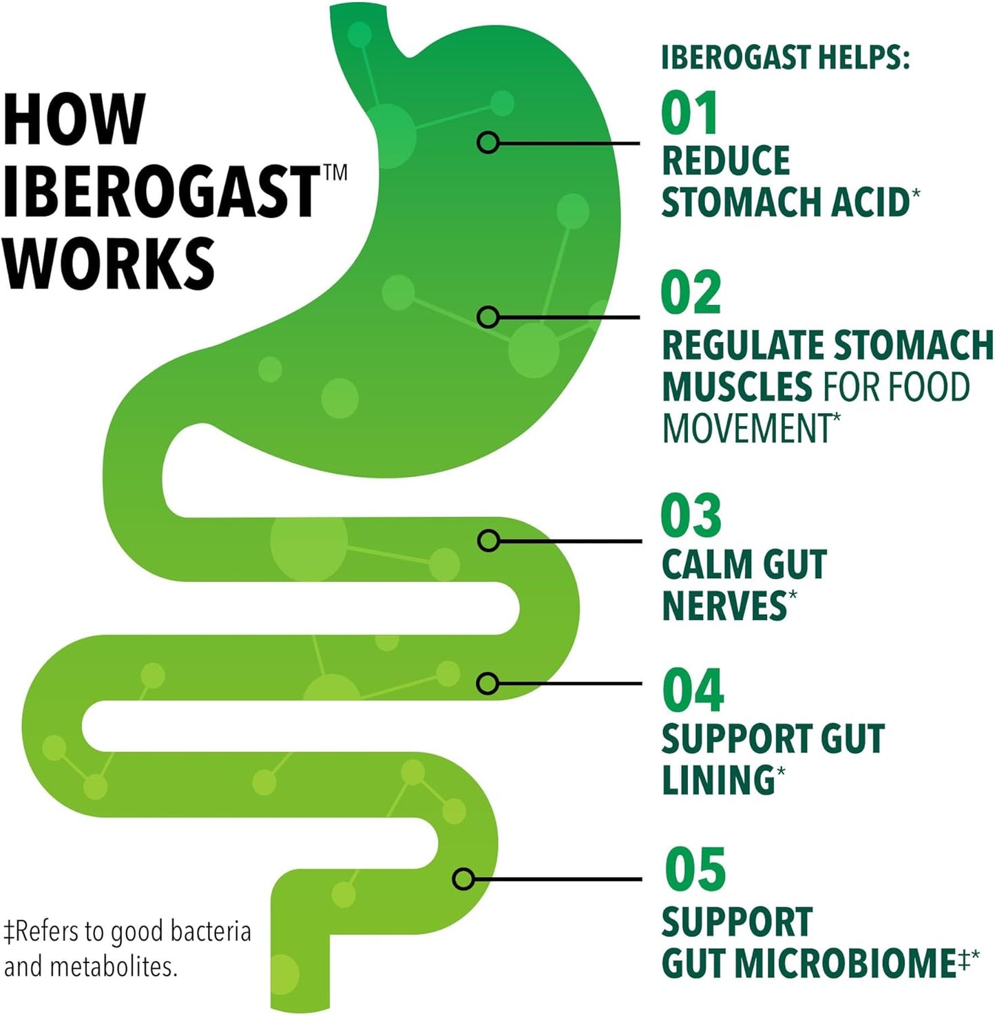 Iberogast Gotas Líquidas, Alivio Herbal de Malestar Estomacal, 50ml