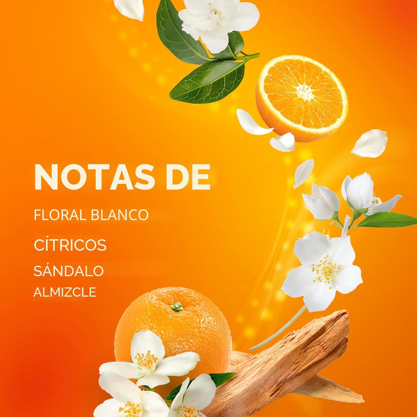 Bounce Hojas Gruesas  para Secadora Intensas, Frescura Vibrante, 60 Unidades