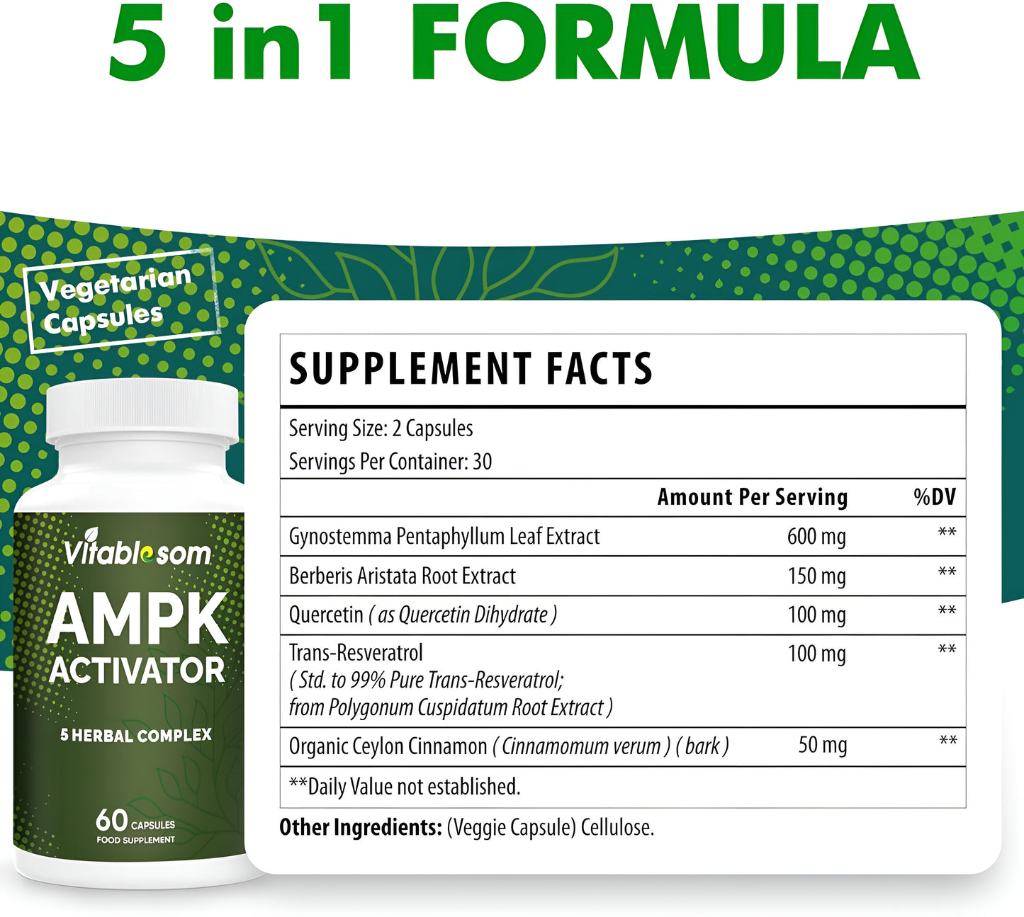 AMPK Suplemento activador, 5 en 1 Jiaogulan Gynostemma AMPK activador metabólico 60 cápsulas vegetarianas