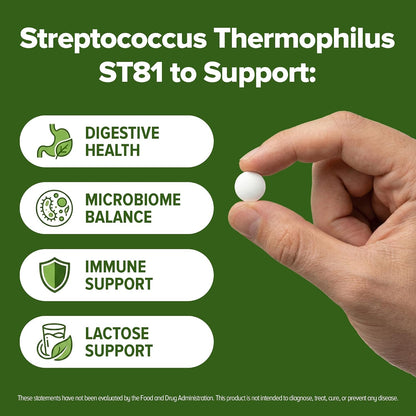 Suplemento probiótico de Streptococcus Thermophilus 240 tabletas