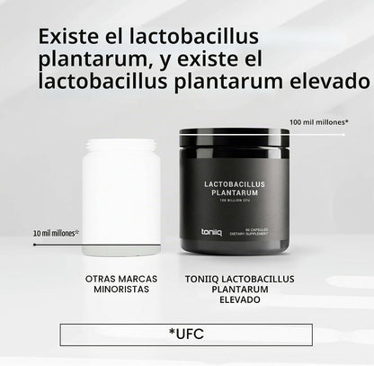 Toniiq Lactobacillus Plantarum - 100 mil millones de UFC, 60 Capsulas