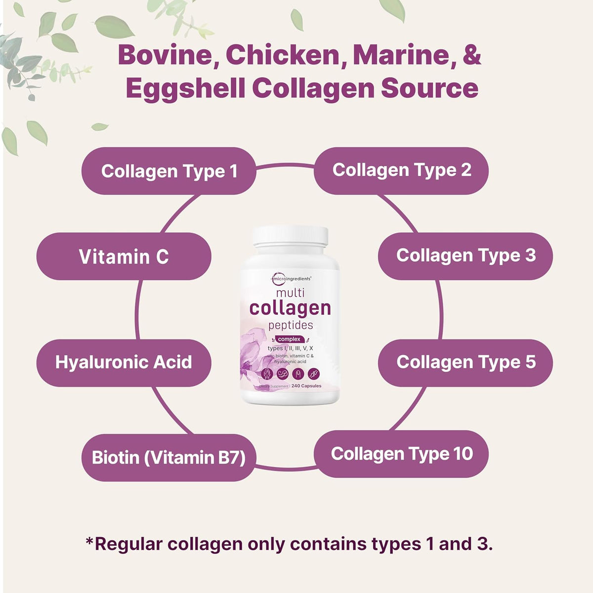 MicroIngredients- Multi Colageno peptides complex tipo I,II,III,V,X - 240 capsulas