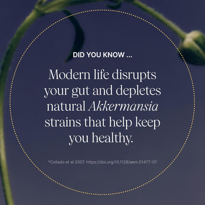 Akkermansia Pendulum 30 Capsulas