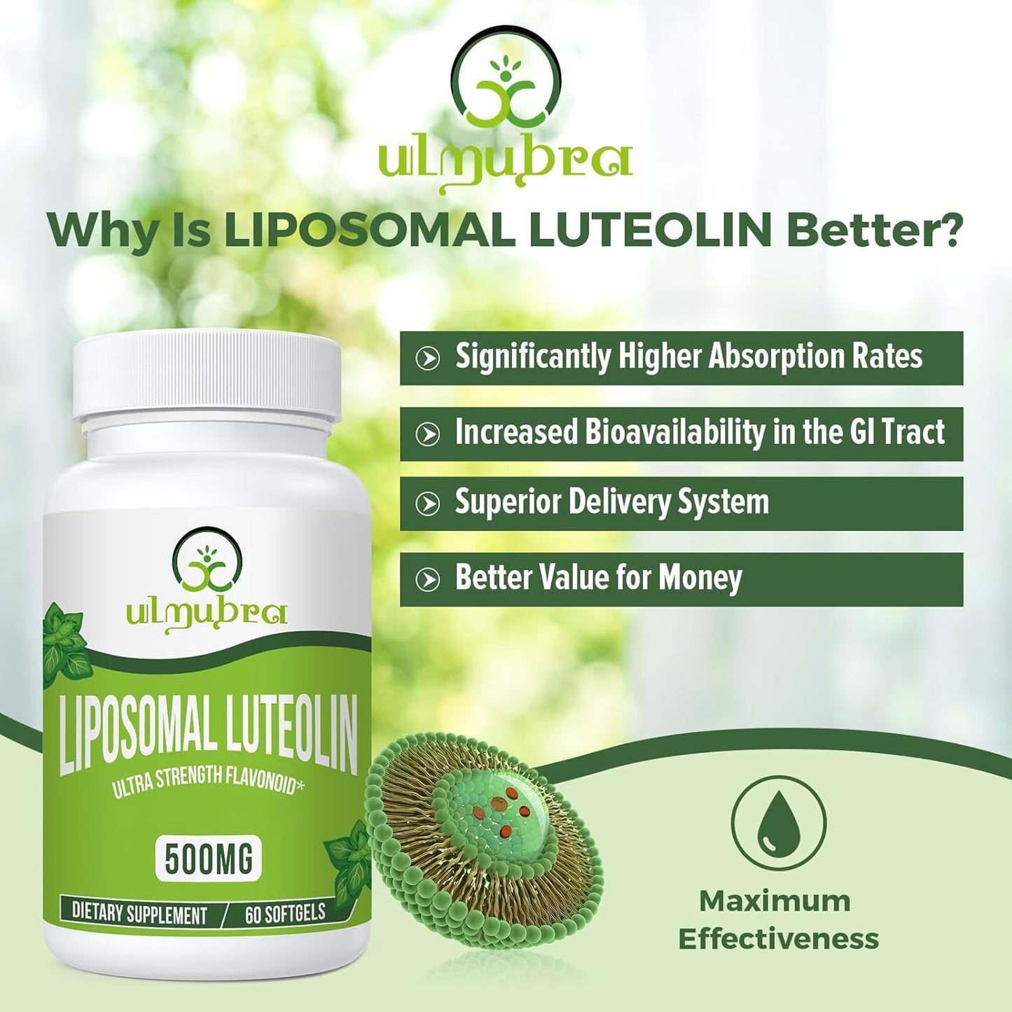 Ulmubra Luteolina liposomal de 500 mg de absorción máxima, flavonoide potente, 60 cápsulas blandas