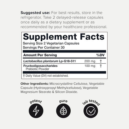 Toniiq Lactobacillus Plantarum - 100 mil millones de UFC, 60 Capsulas