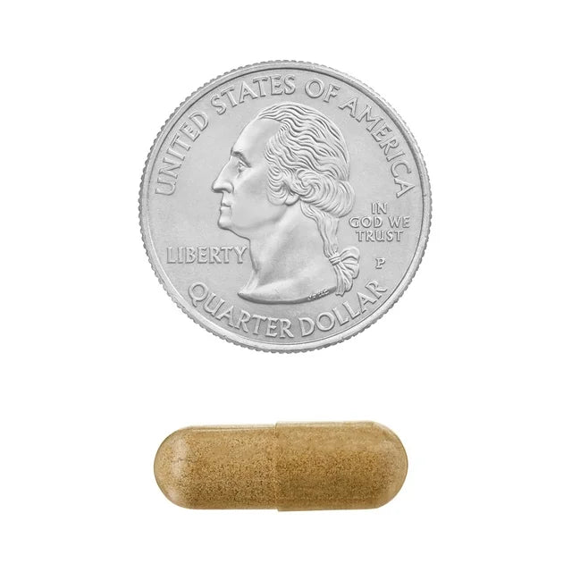 Spring Valley Echinacea GoldenSeal Blend, 900 mg, 75 cápsulas