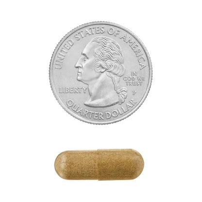 Spring Valley Echinacea GoldenSeal Blend, 900 mg, 75 cápsulas