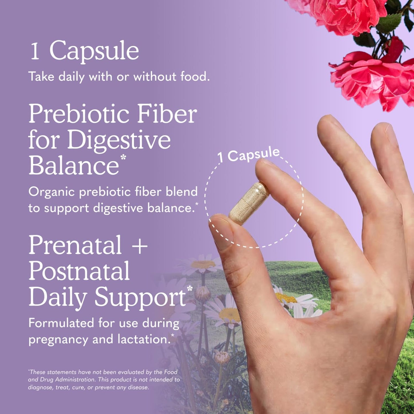 Garden of Life Dr. Formulated, probióticos para tomar una vez al día prenatal, 30 capsulas