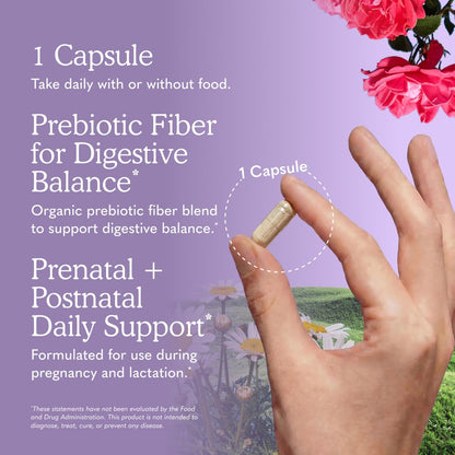 Garden of Life Dr. Formulated, probióticos para tomar una vez al día prenatal, 30 capsulas