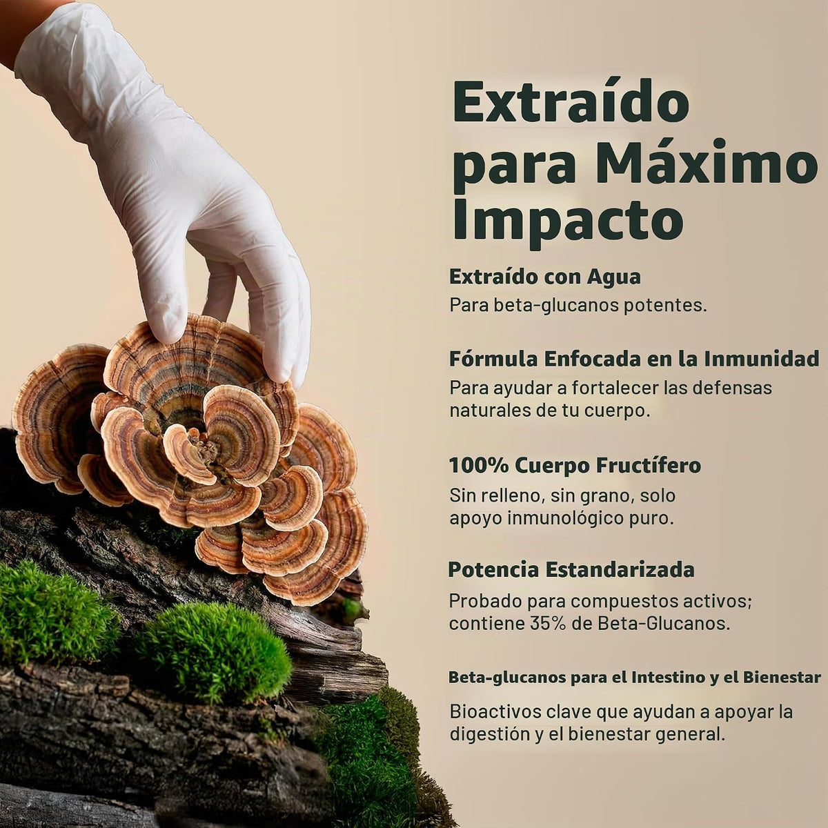 Freshcap - Hongos de cola de pavo, apoyo intestinal e inmunológico, 120 Capsulas