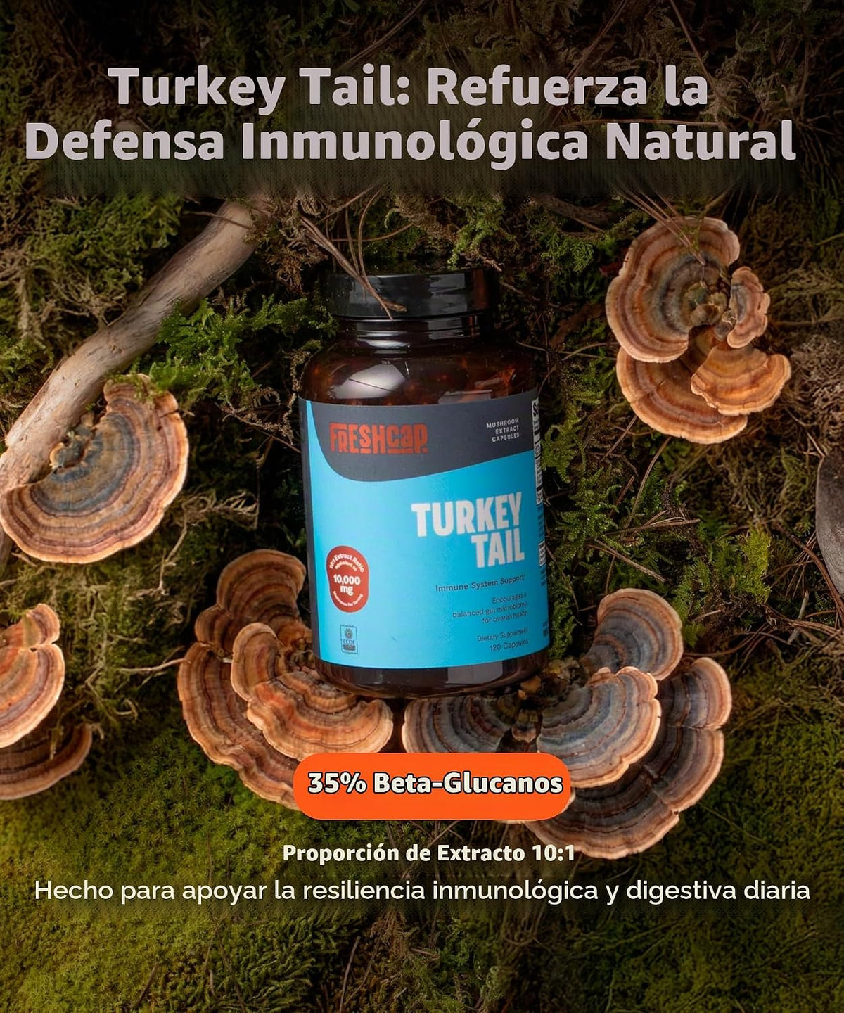 Freshcap - Hongos de cola de pavo, apoyo intestinal e inmunológico, 120 Capsulas