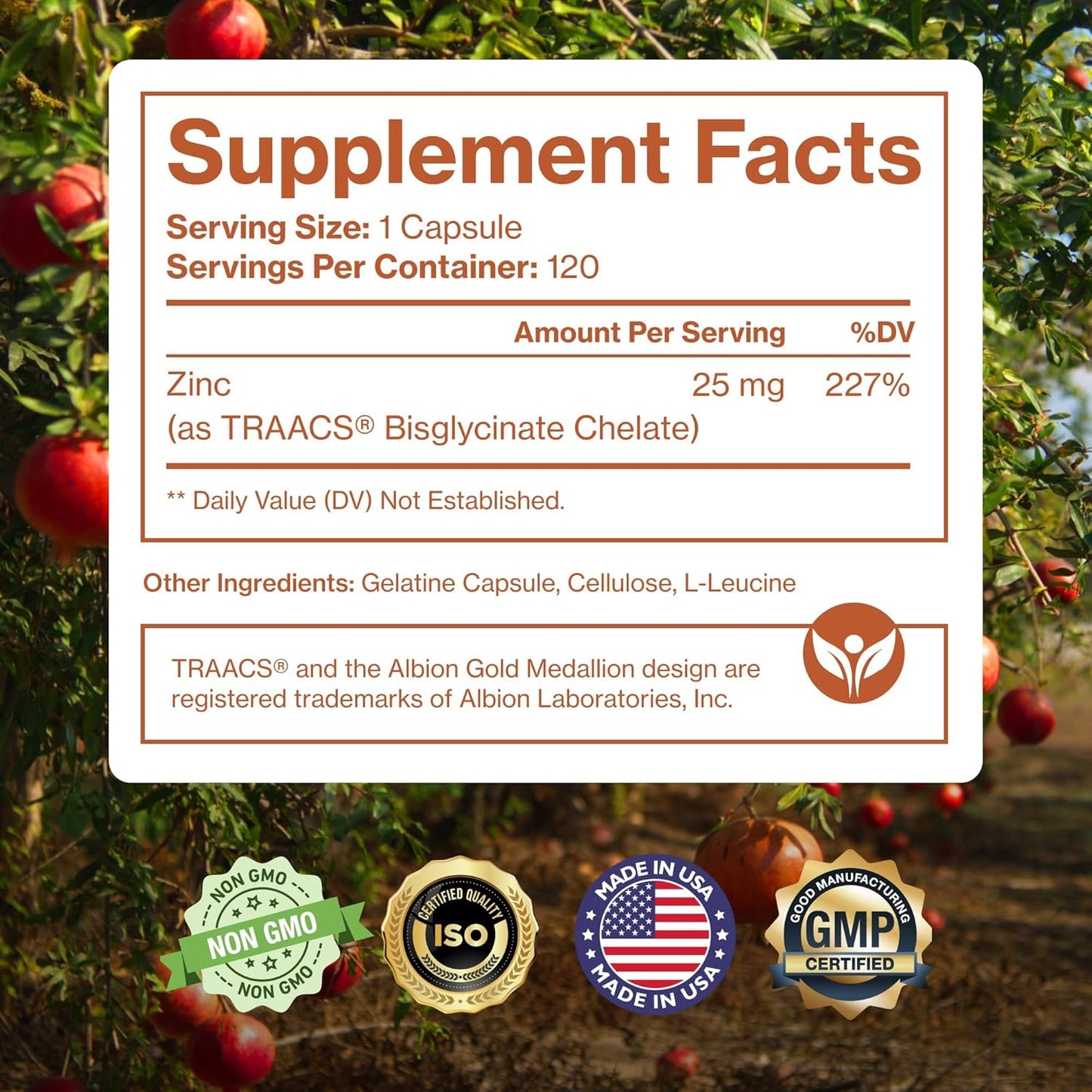 Pure Micronutrients Suplemento de zinc, suplementos de glicinato de zinc natural, (quelado) 25 mg, 120 cápsulas, Anaranjado