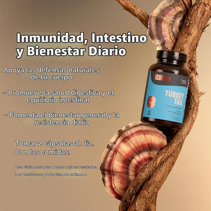 Freshcap - Hongos de cola de pavo, apoyo intestinal e inmunológico, 120 Capsulas