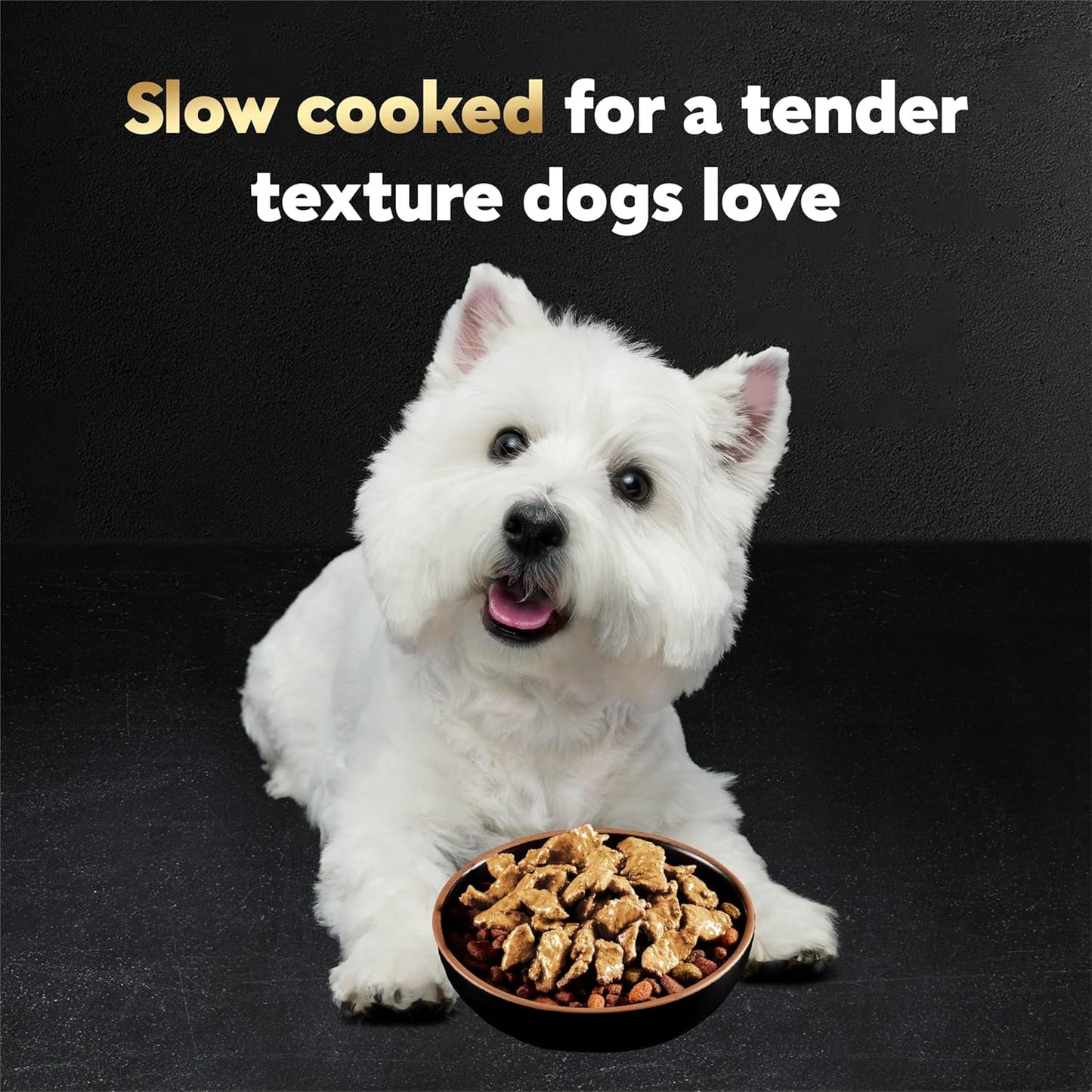 Cesar Filetes en Salsa Comida Húmeda para Perros Sabor Pollo Asado, 50g