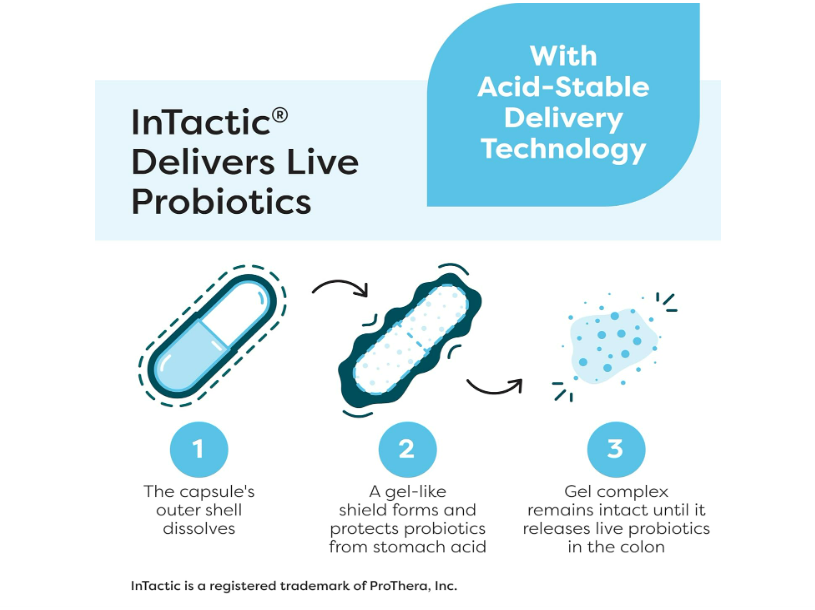 SFI, Ther-biotic complete 12 probiotic species/ 25 billion CFU, 60 capsulas