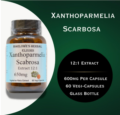 Barlowe's Herbal Elixirs Xantoparmelia Scabrosa | Extracto 12:1 | 650 mg , 60 capsulas vegetables