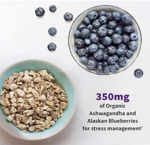 Garden of Life - Probiotico Mood+ 50 billion, 60 capsulas
