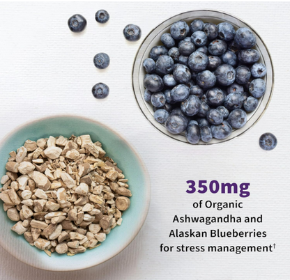 Garden of Life - Probiotico Mood+ 50 billion, 60 capsulas