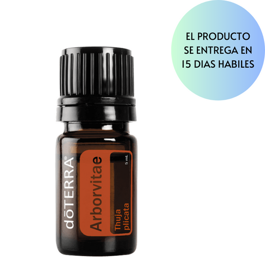 Arborvitae Oil  Thuja plicata 5ml