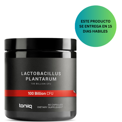 Toniiq Lactobacillus Plantarum - 100 mil millones de UFC, 60 Capsulas