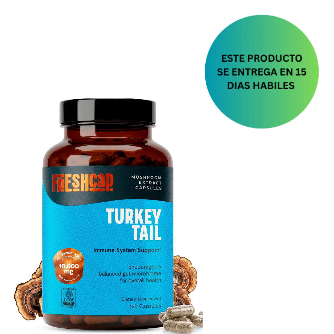 Freshcap - Hongos de cola de pavo, apoyo intestinal e inmunológico, 120 Capsulas