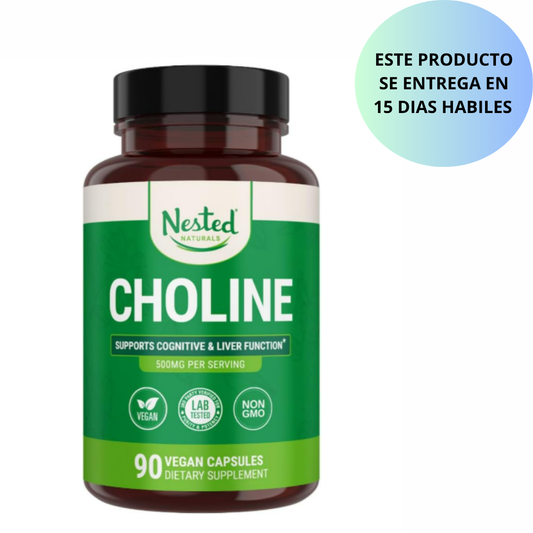 Choline 500mg, 90 capsulas vegetarianas - Nested Naturals
