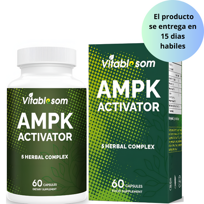 AMPK Suplemento activador, 5 en 1 Jiaogulan Gynostemma AMPK activador metabólico 60 cápsulas vegetarianas